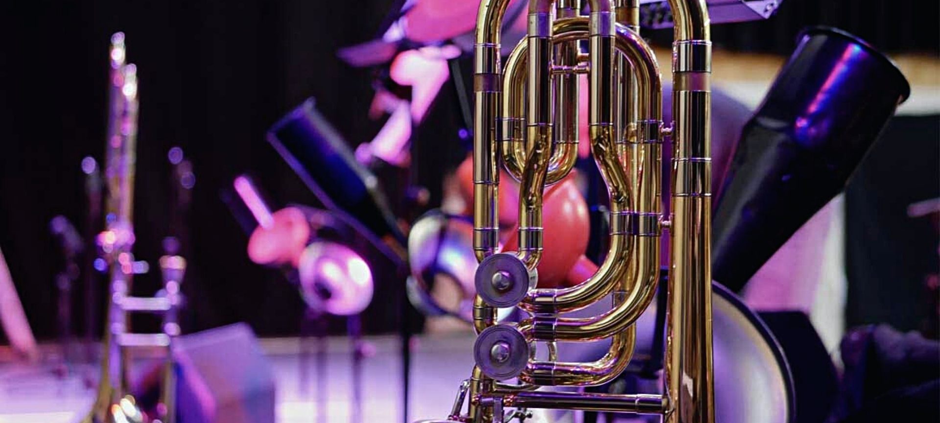 Blasmusik-Bands und Blasmusik-Musiker gestalten Ihr Event.