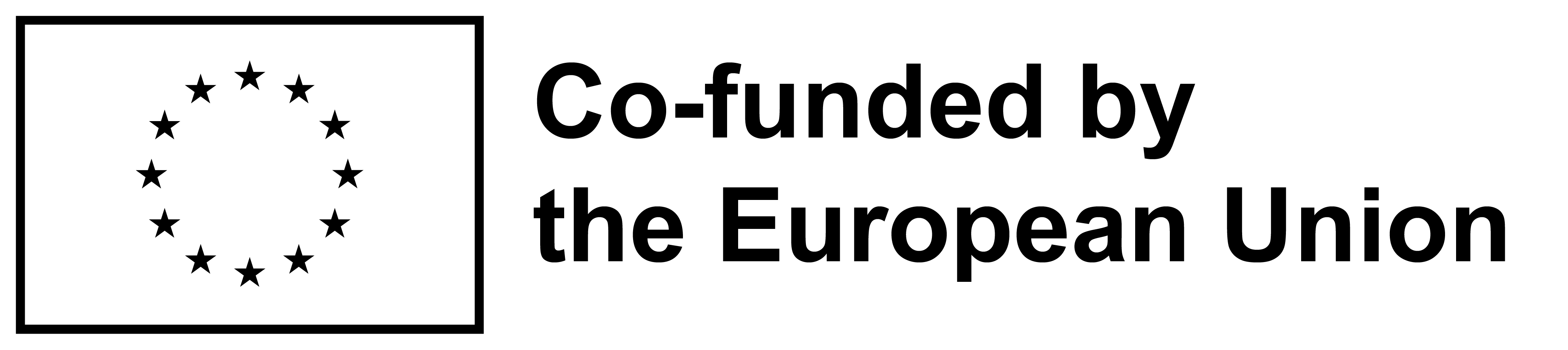 European Union Logo